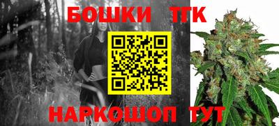 МДПВ Владикавказ