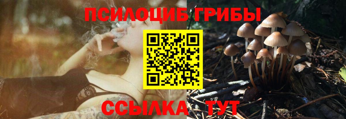 Галлюциногенные грибы Cubensis  Псилоцибиновые грибы мухоморы  Дубна  Вход с VPN 